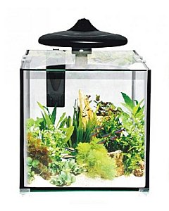 Akvaarium Clear Cube CC-30 / 32L