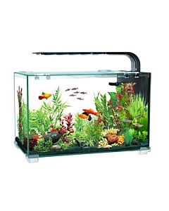 Akvaarium AQUACLEAR DESKTOP TANK AC16 13L 356x206x234mm