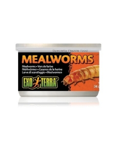 Roomajate sööt Exo Terra Mealworms / 34g	