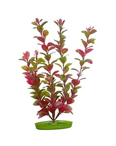 Plastist taim Marina AquaScaper 30cm - punane Ludwigia