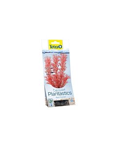 Plastist taim Tetra Foxtail Red,S