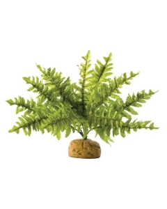 Kunsttaim terraariumisse Exo Terra Rainforest Ground Plants Boston Fern S / 25cm