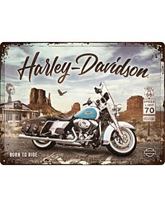 Metallplaat 30x40cm / Harley-Davidson  - Route 66 Road King Classic