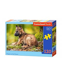 Puzzle Castorland Puppy in the forest 32x23cm / 120tk / LM