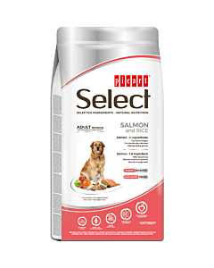 Select Adult Sensitive Salmon and Rice koeratoit  lõhe ja riisiga 3kg