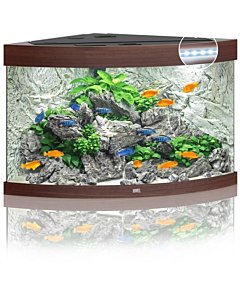 Akvaarium 'Trigon 190 ' LED, tume puit / 190L