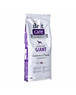 Brit Care Giant Adult Salmon&Potato koeratoit / 12kg 