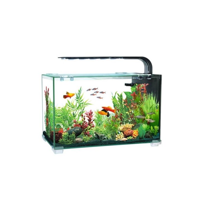 Akvaarium AQUACLEAR DESKTOP TANK AC16 13L 356x206x234mm