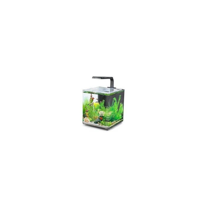 Akvaarium AQUACLEAR DESKTOP TANK AC10 9,4L 243x203x233mm