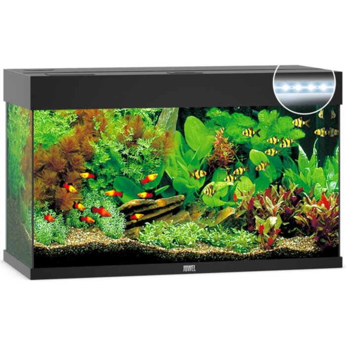 Akvaarium 'Rio 125' LED, must / 125L 