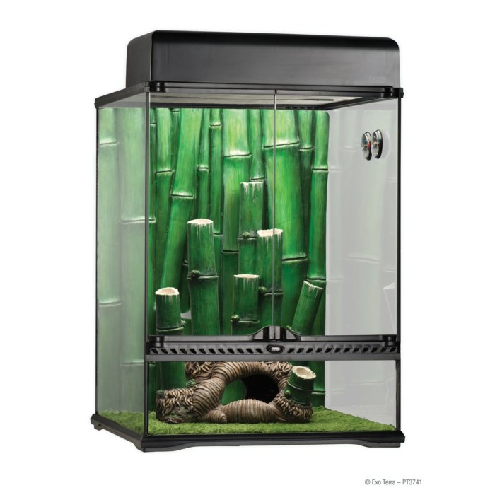 Terraariumi Exo Terra Bamboo Forest Habitat large / 45x45x60cm