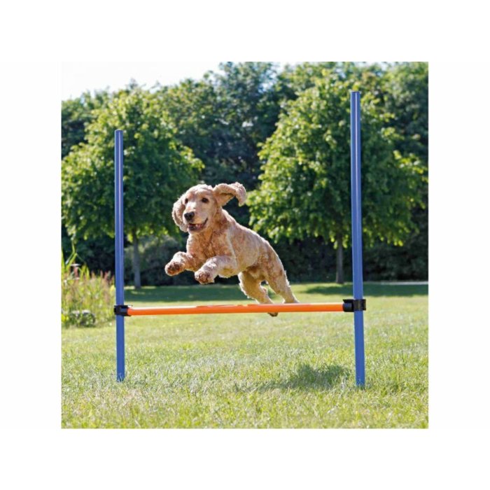 DogActivity Agility hurdle plastik123×115 cm sinine/oranz