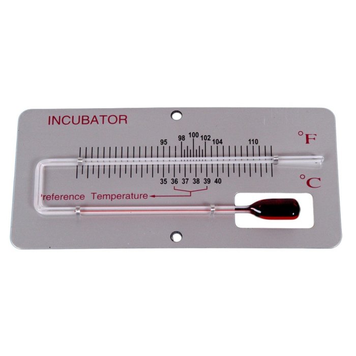 Inkubaatori termomeeter