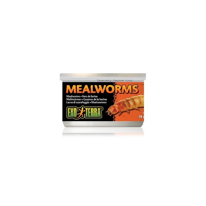 Roomajate sööt Exo Terra Mealworms / 34g	