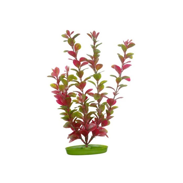 Plastist taim Marina AquaScaper 30cm - punane Ludwigia