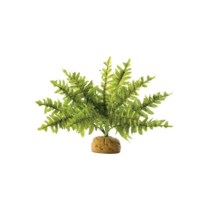 Kunsttaim terraariumisse Exo Terra Rainforest Ground Plants Boston Fern S / 25cm