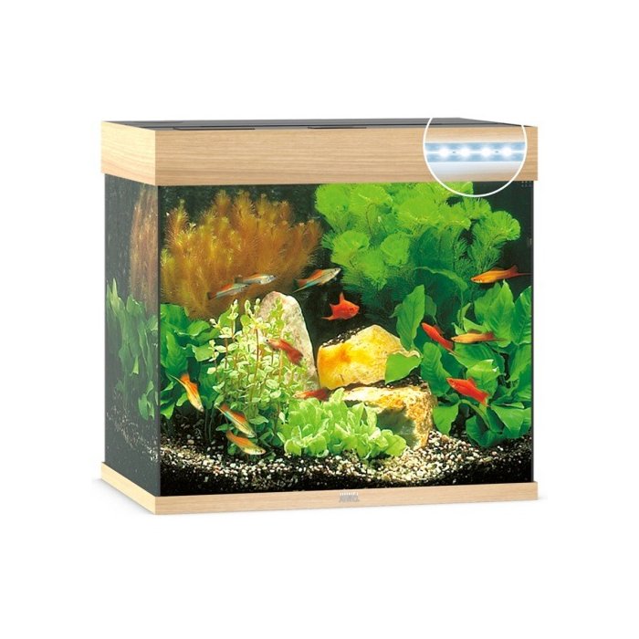 Akvaarium 'Lido 200' LED, hele puit  / 200l 