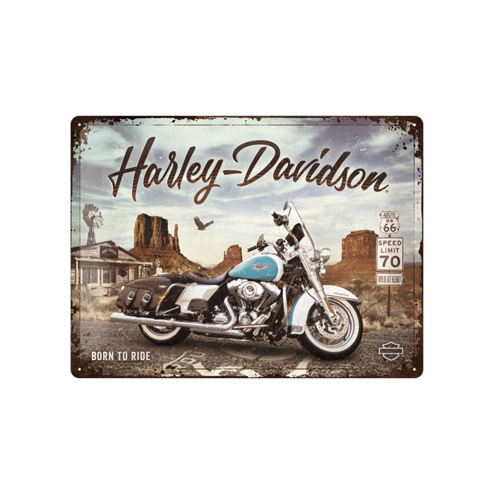 Metallplaat 30x40cm / Harley-Davidson  - Route 66 Road King Classic