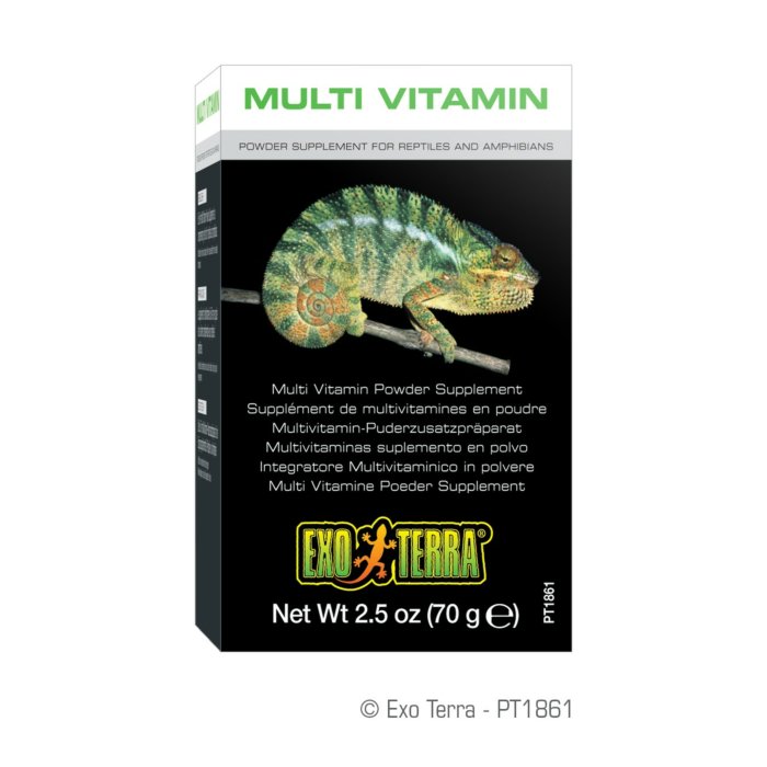 Multi Vitamin Powder Supplement / 70g