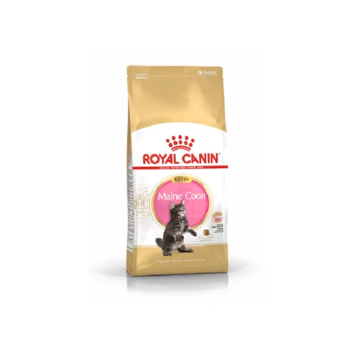 Royal Canin FBN MAINE COON KITTEN 10 kg