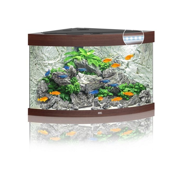 Akvaarium 'Trigon 190 ' LED, tume puit / 190L