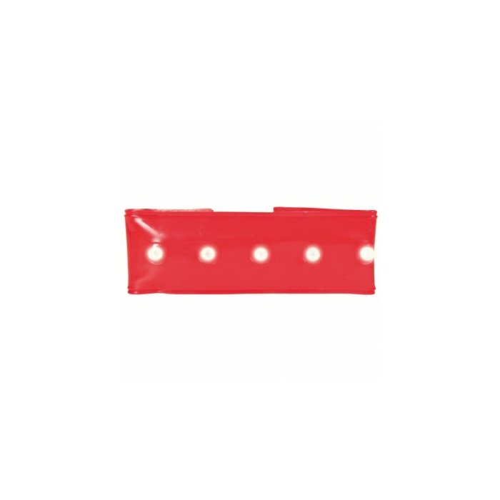 Valgusdioodidega kaelarihma pael koerale Safer Life Flash Light Band / 25cm